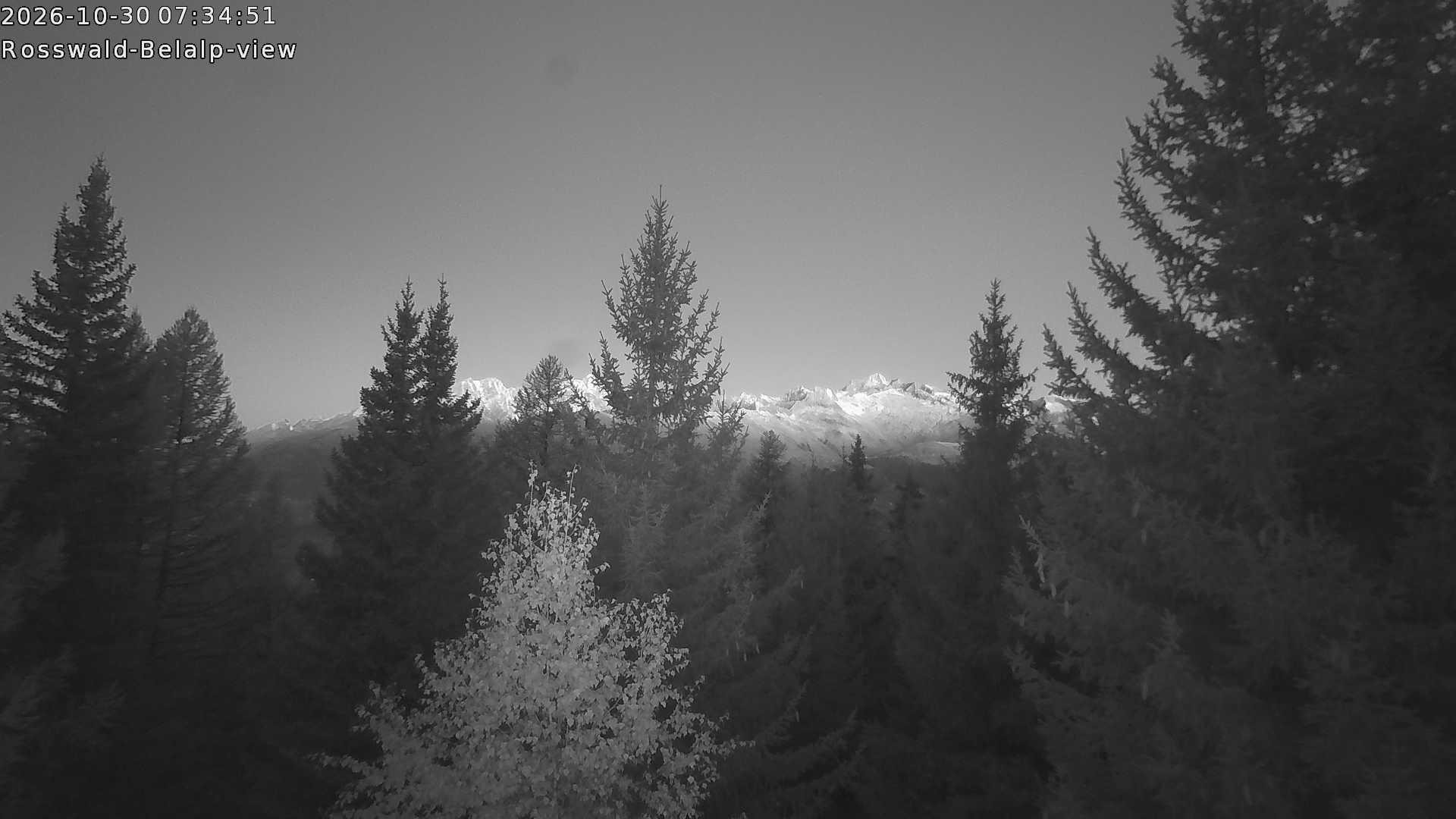 Archived image Webcam Rosswald - Bärgfriedu