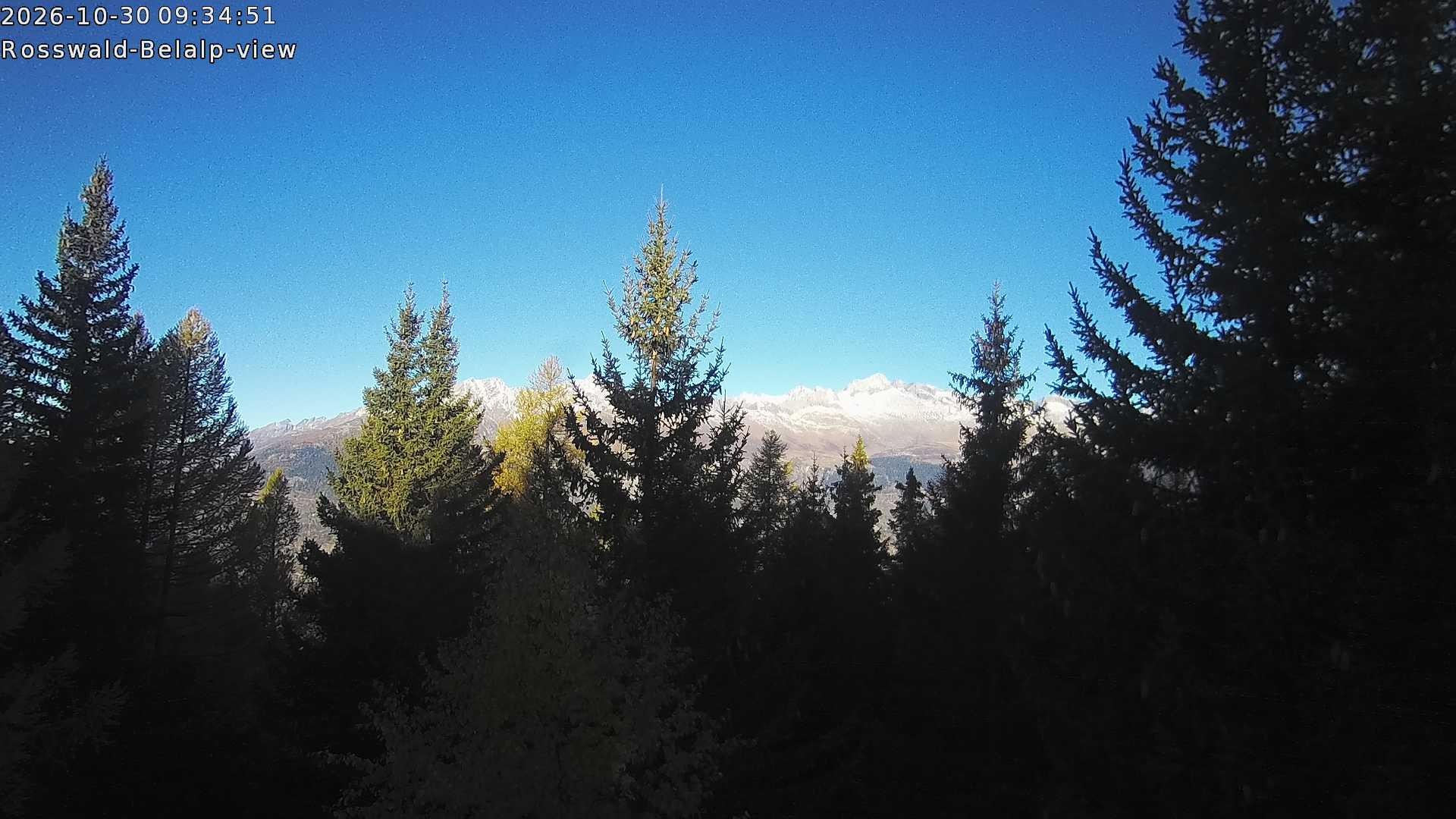 Archiv Foto Webcam Rosswald - Chalet Bergfriede
