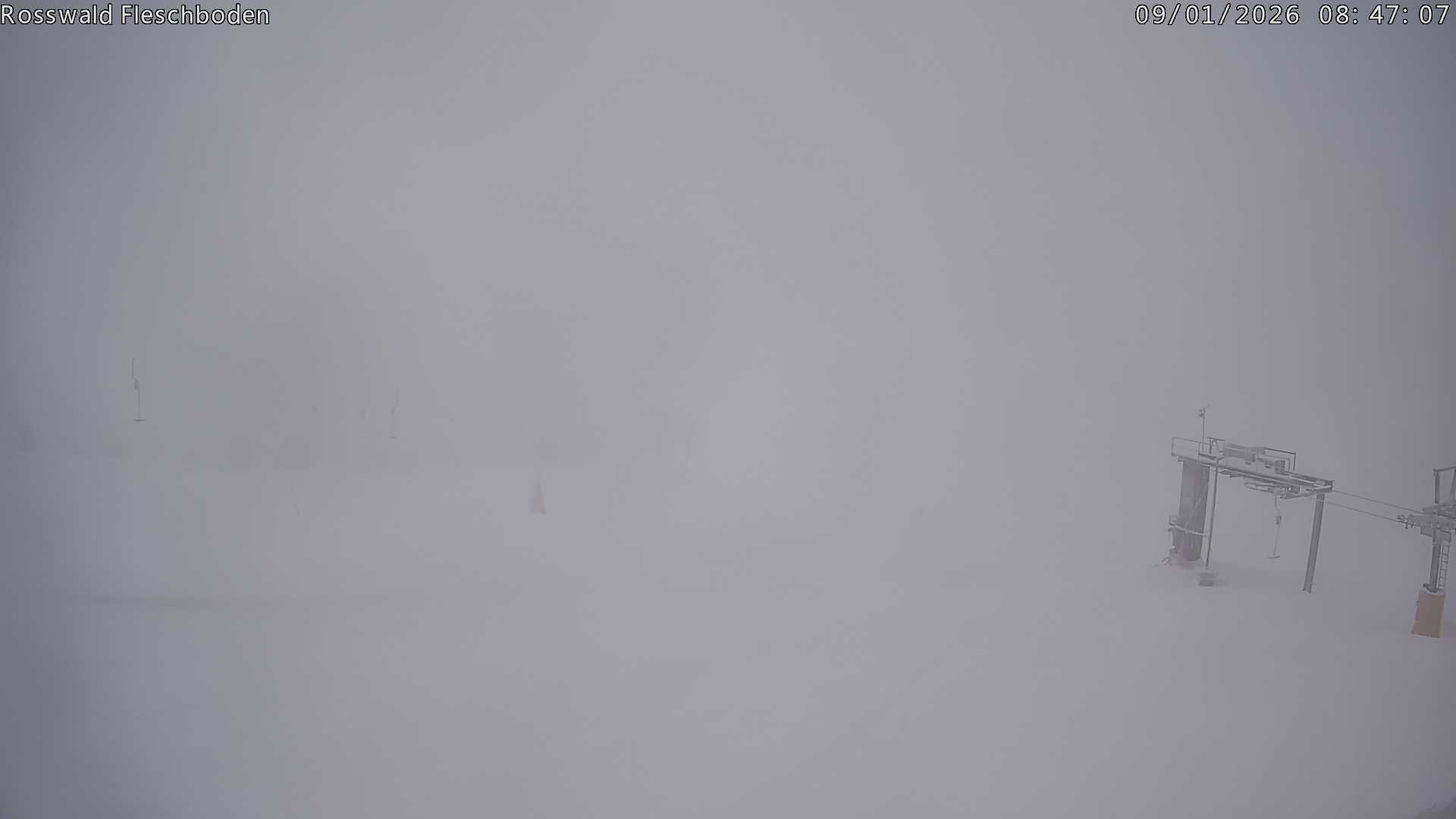 Archiv Foto Webcam Rosswald - Fleschboden