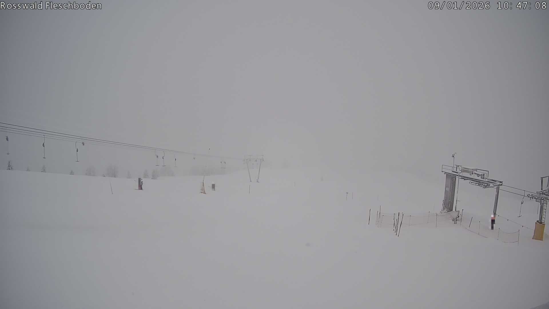 Archiv Foto Webcam Rosswald - Fleschboden