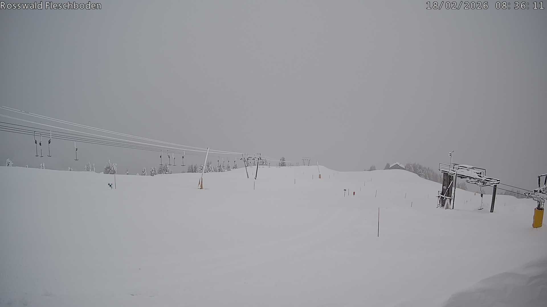 Archiv Foto Webcam Rosswald - Fleschboden