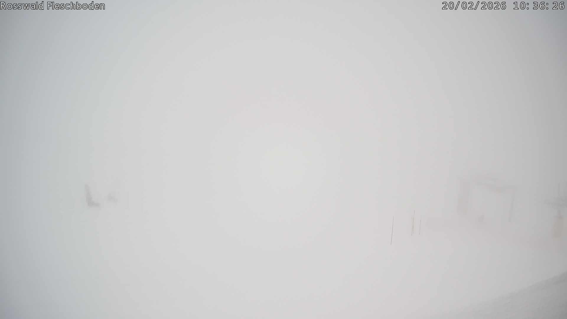 Archiv Foto Webcam Rosswald - Fleschboden