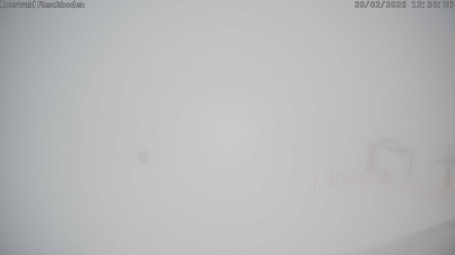 Archiv Foto Webcam Rosswald - Fleschboden