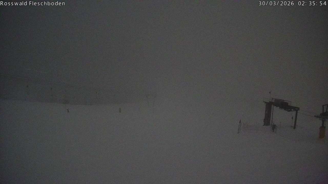 Archiv Foto Webcam Rosswald - Fleschboden