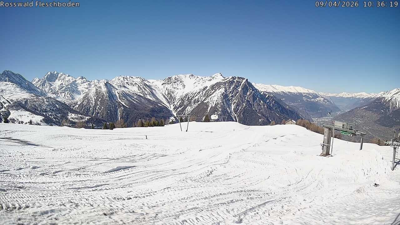 Archived image Webcam Rosswald - Fleschbodu