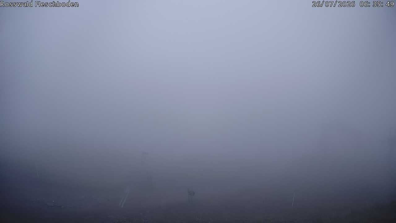 Archived image Webcam Rosswald - Fleschbodu