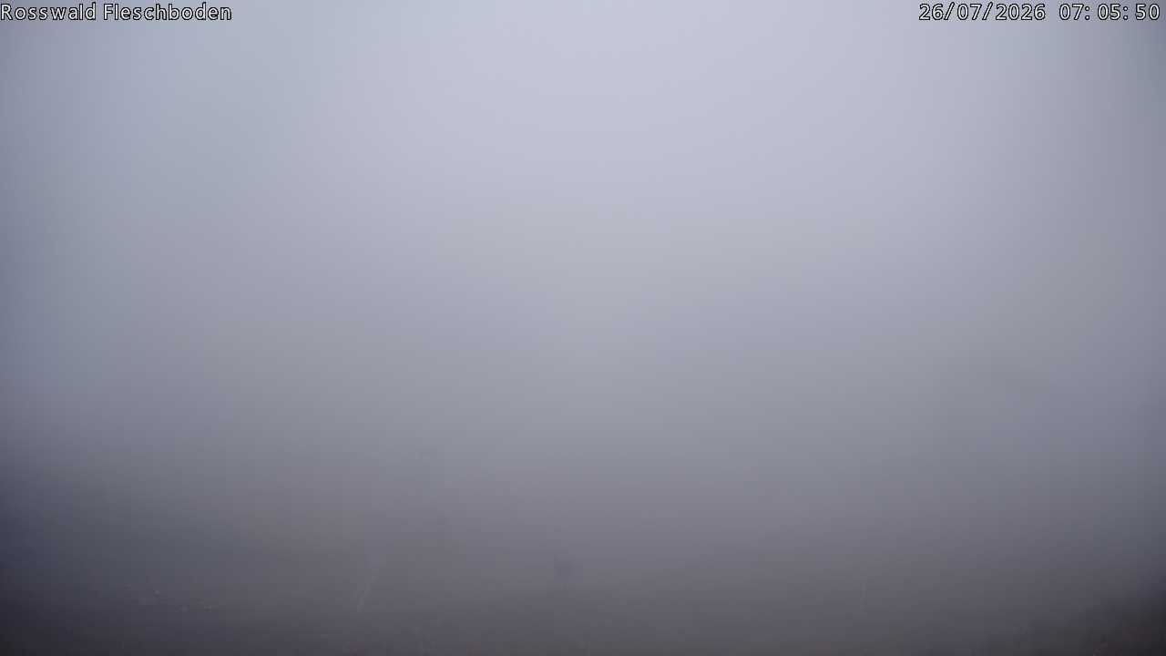 Archived image Webcam Rosswald - Fleschbodu