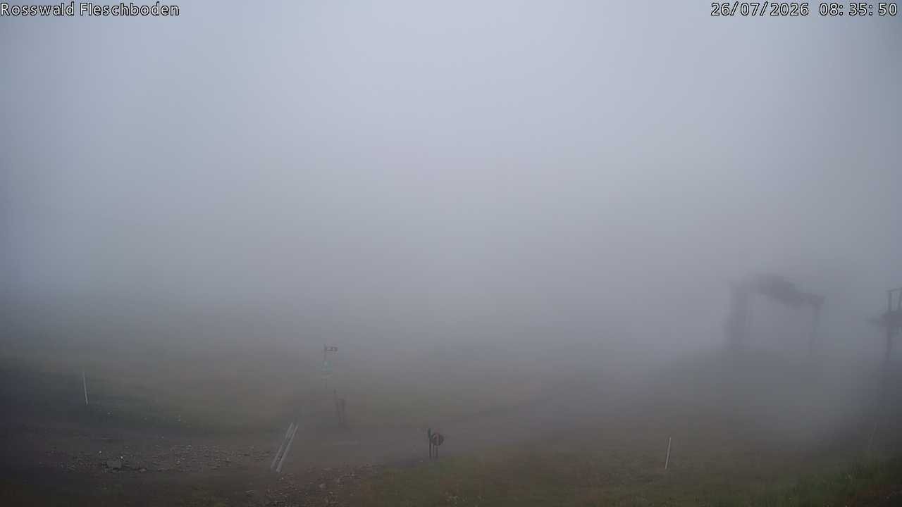 Archived image Webcam Rosswald - Fleschbodu