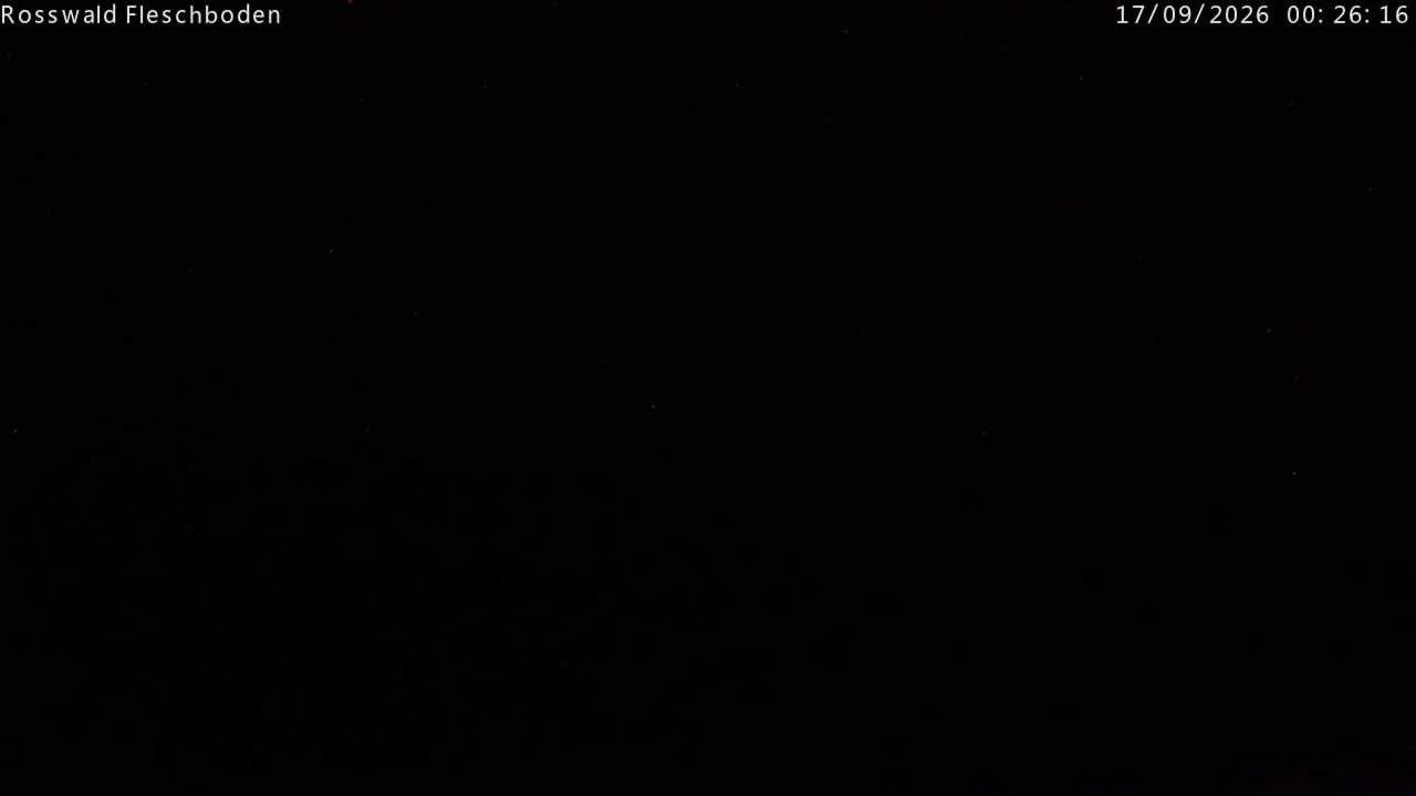 Archived image Webcam Rosswald - Fleschbodu