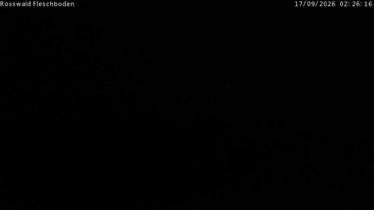 Archived image Webcam Rosswald - Fleschbodu