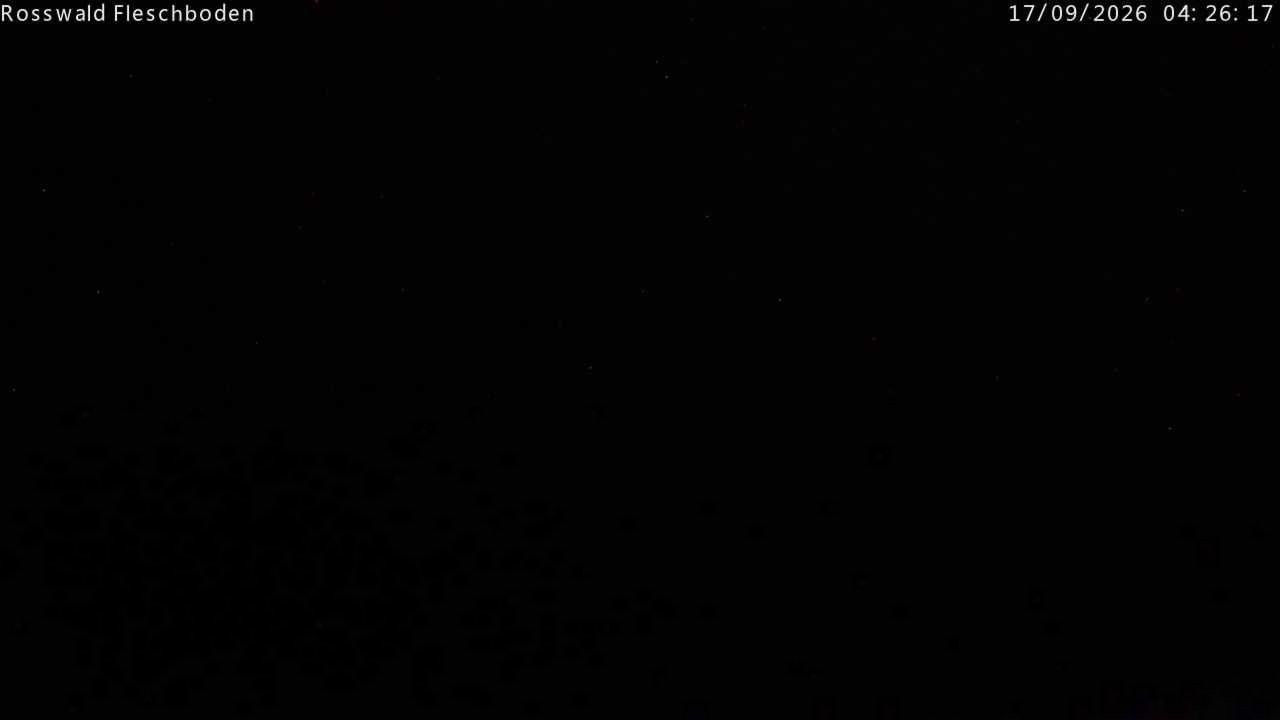 Archived image Webcam Rosswald - Fleschbodu