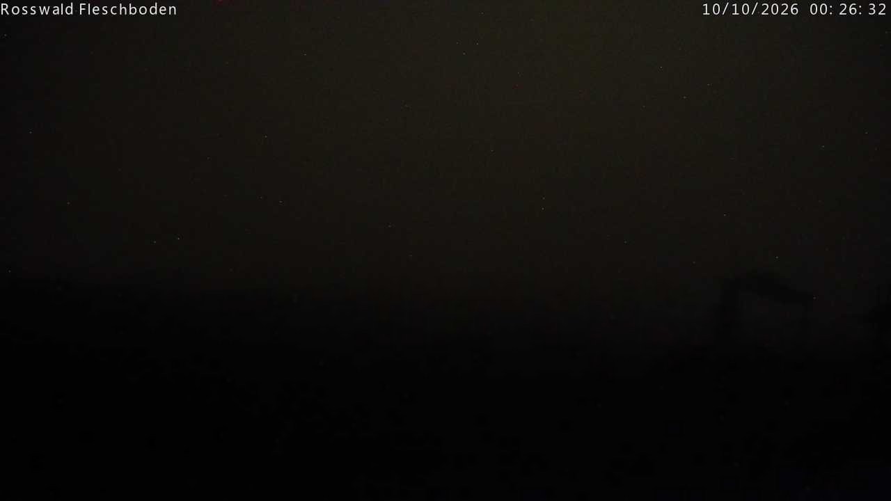 Archived image Webcam Rosswald - Fleschbodu