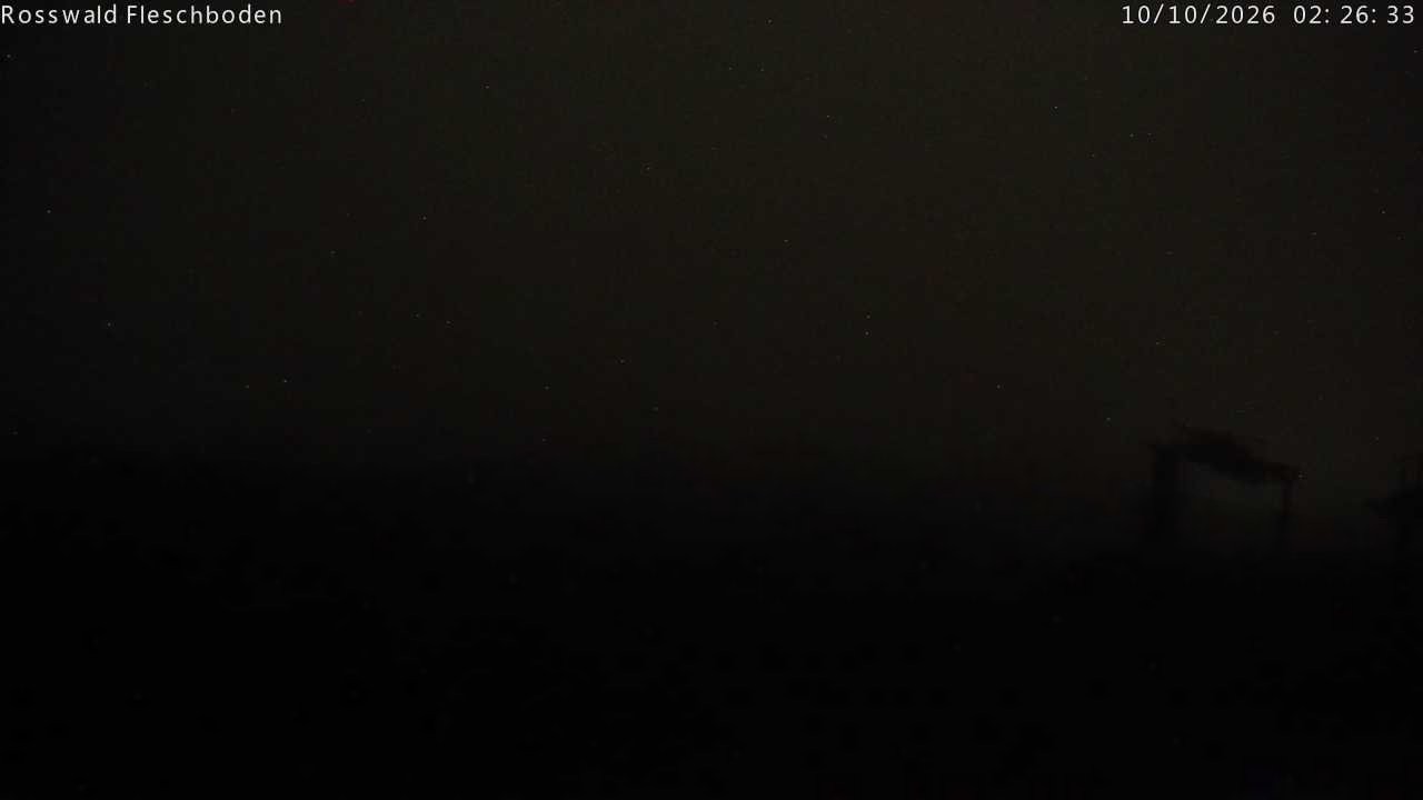 Archived image Webcam Rosswald - Fleschbodu