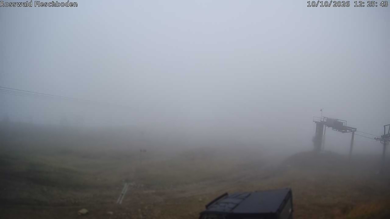 Archived image Webcam Rosswald - Fleschbodu