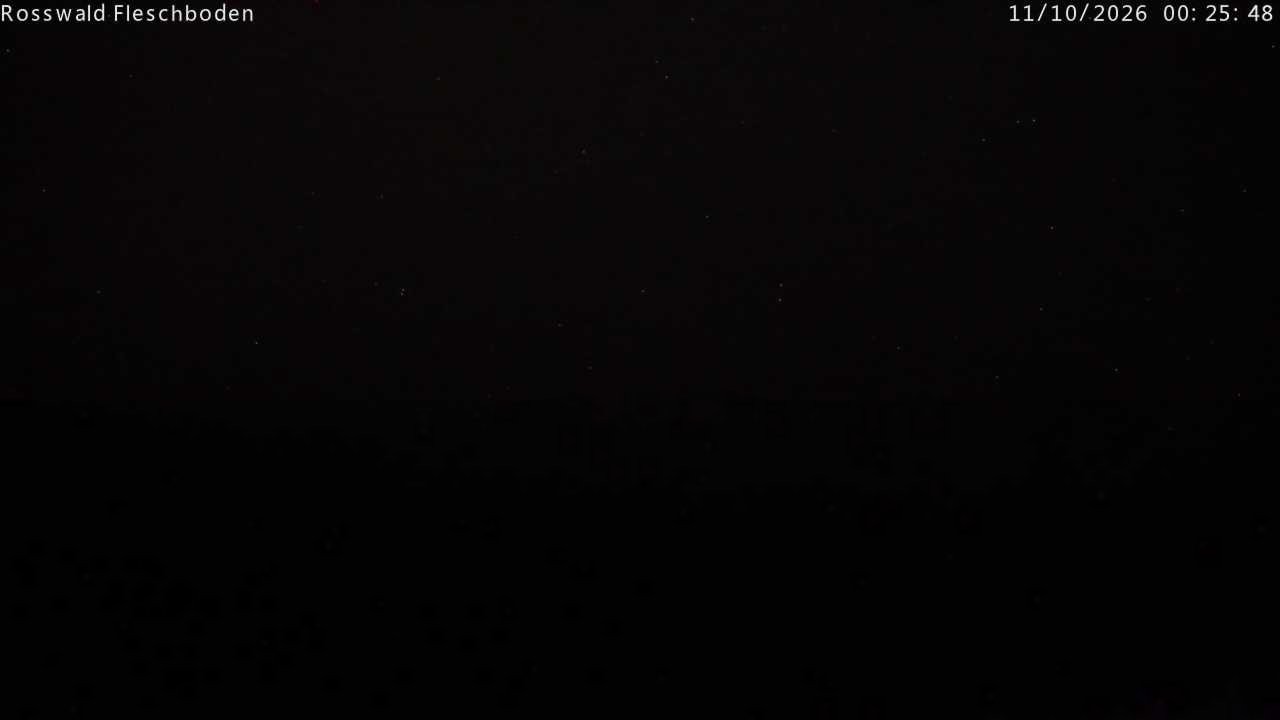Archived image Webcam Rosswald - Fleschbodu