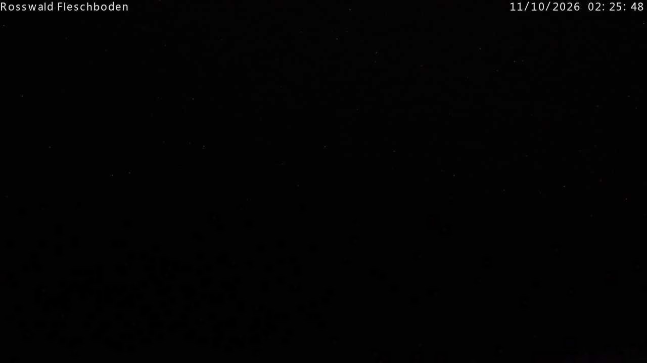 Archived image Webcam Rosswald - Fleschbodu