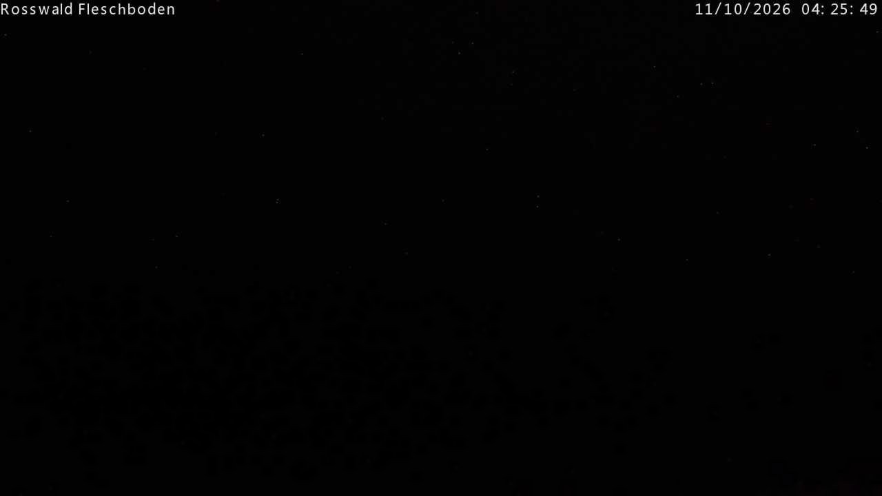 Archived image Webcam Rosswald - Fleschbodu