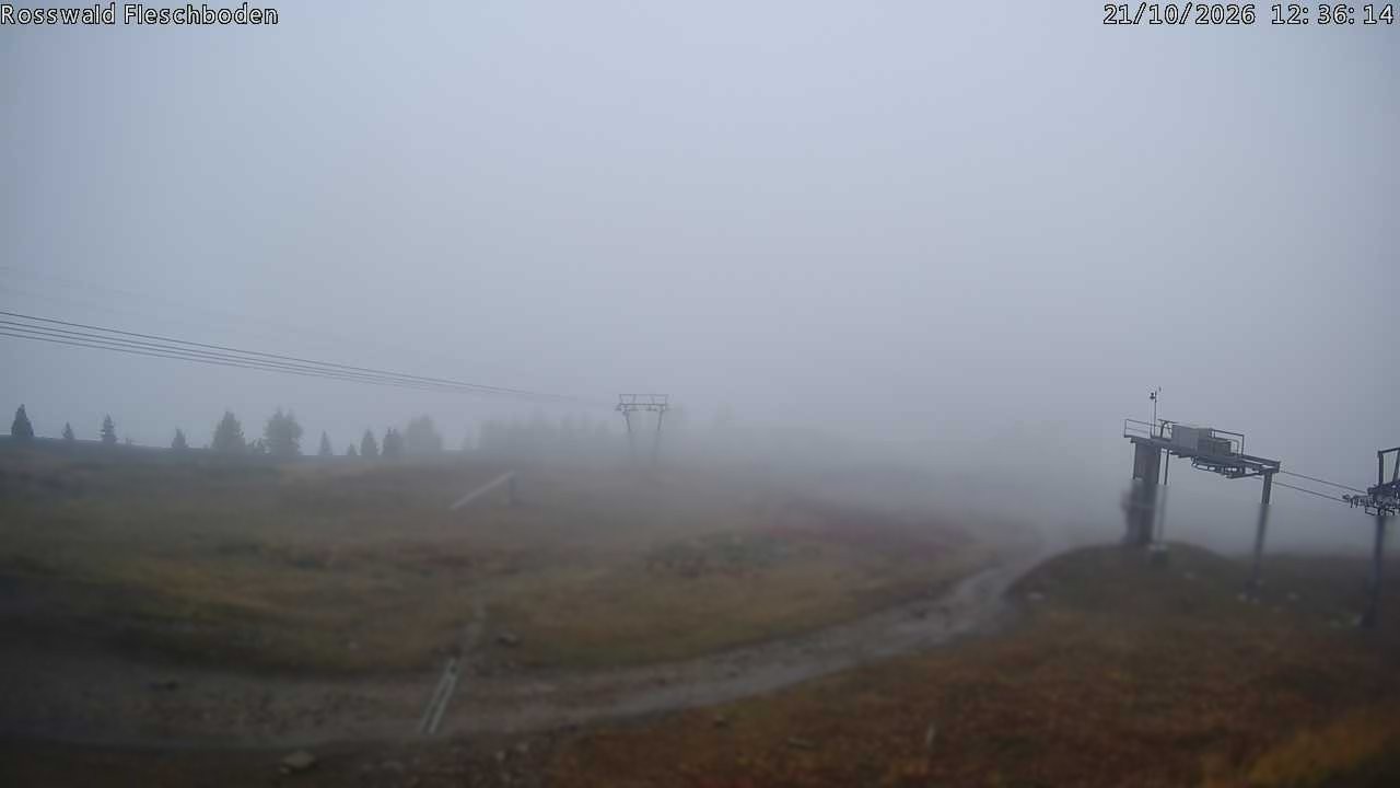 Archived image Webcam Rosswald - Fleschbodu