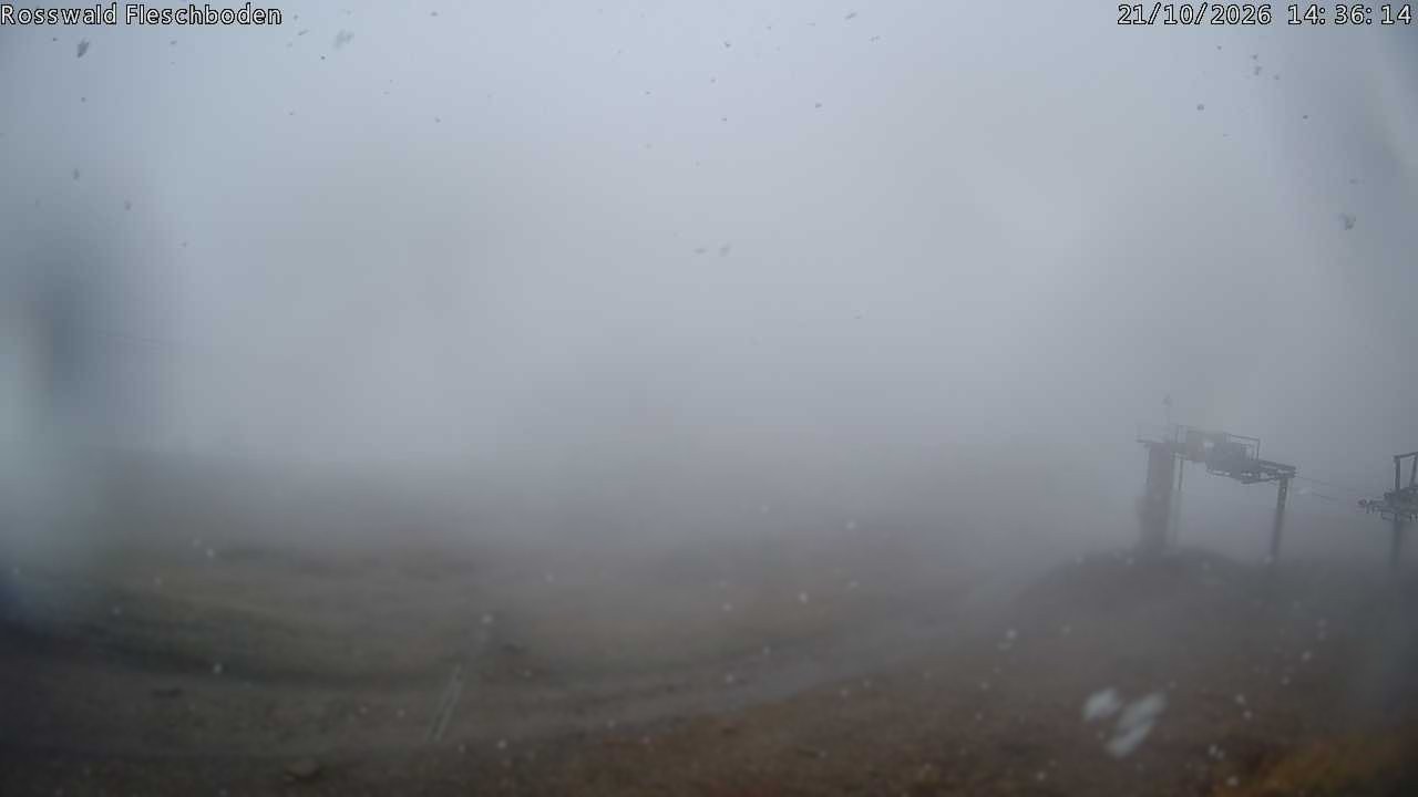 Archiv Foto Webcam Rosswald - Fleschboden