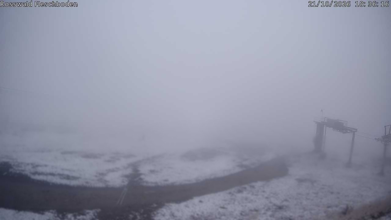 Archiv Foto Webcam Rosswald - Fleschboden