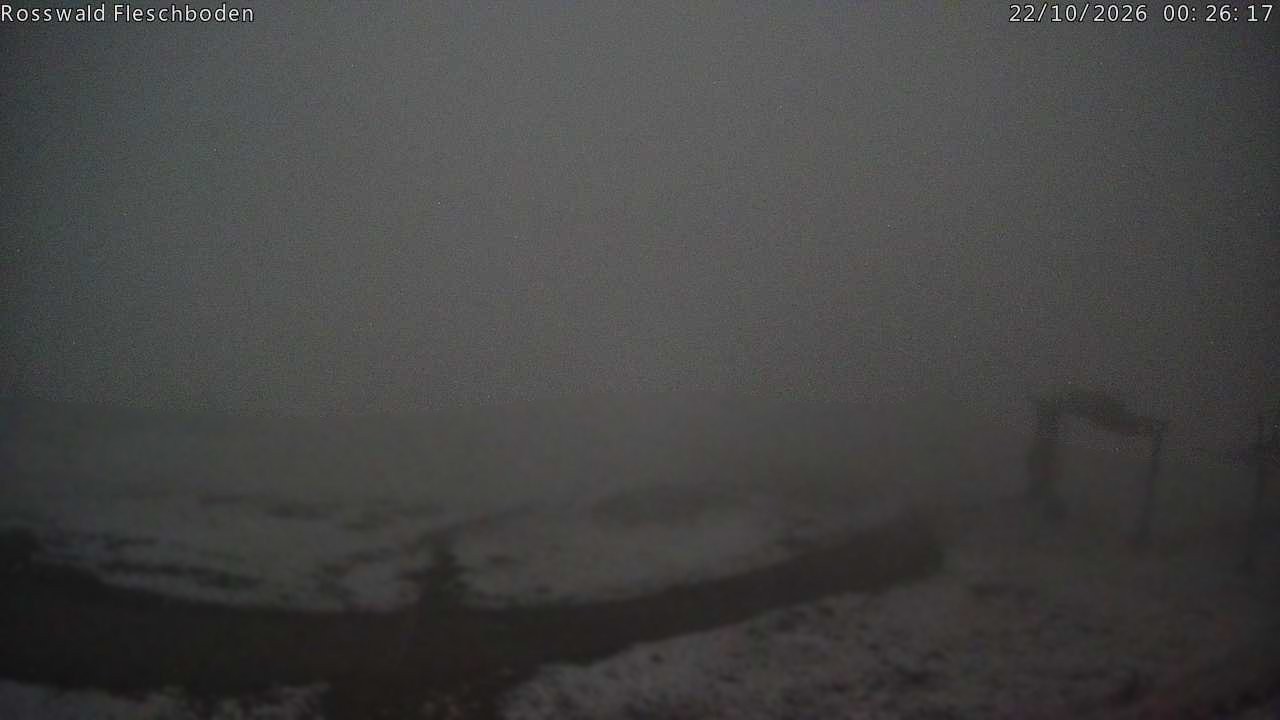 Archiv Foto Webcam Rosswald - Fleschboden