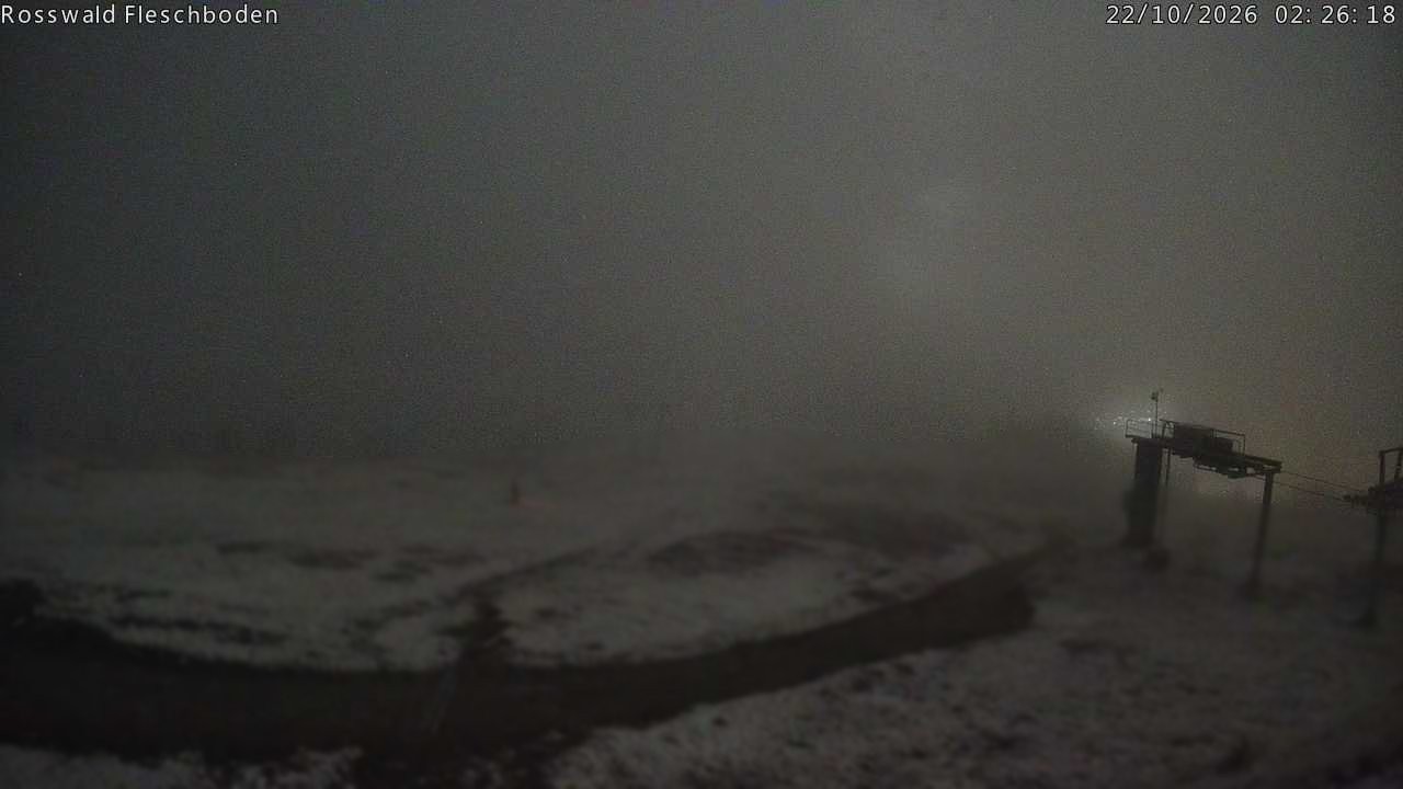 Archiv Foto Webcam Rosswald - Fleschboden