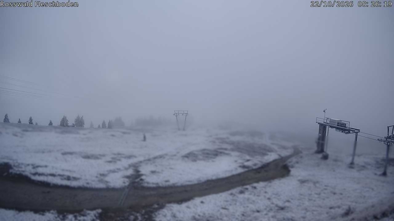 Archiv Foto Webcam Rosswald - Fleschboden
