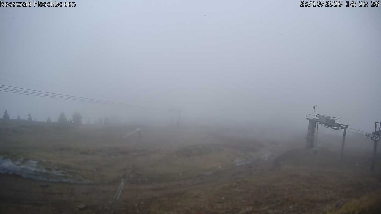 Archived image Webcam Rosswald - Fleschbodu