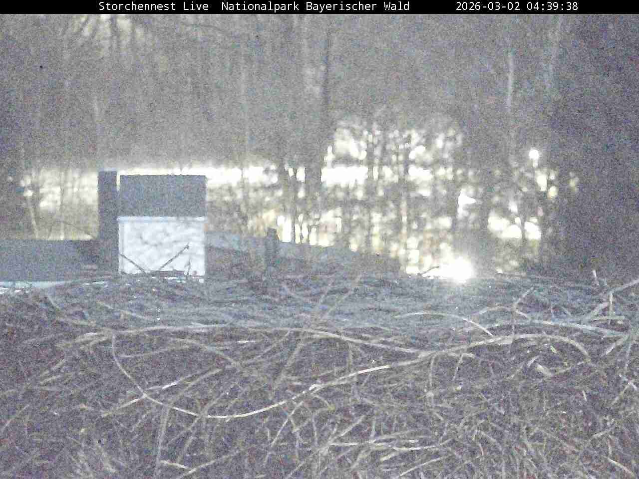 Archiv Foto Webcam Nationalpark Bayerischer Wald - Storchennest - Grafenau