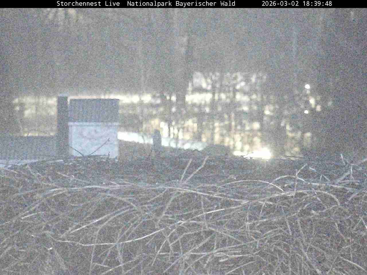 Archiv Foto Webcam Nationalpark Bayerischer Wald - Storchennest - Grafenau