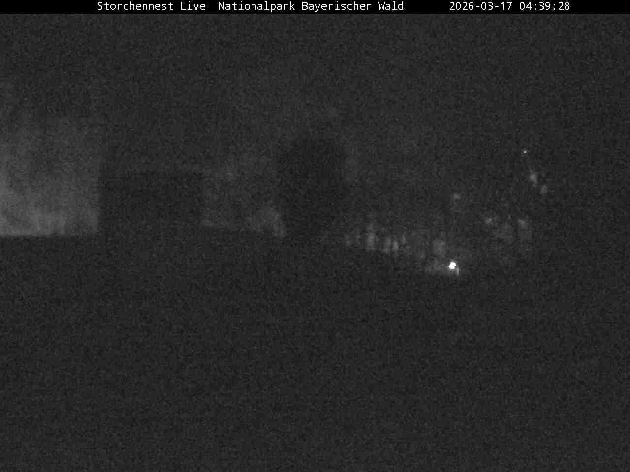 Archiv Foto Webcam Nationalpark Bayerischer Wald - Storchennest - Grafenau