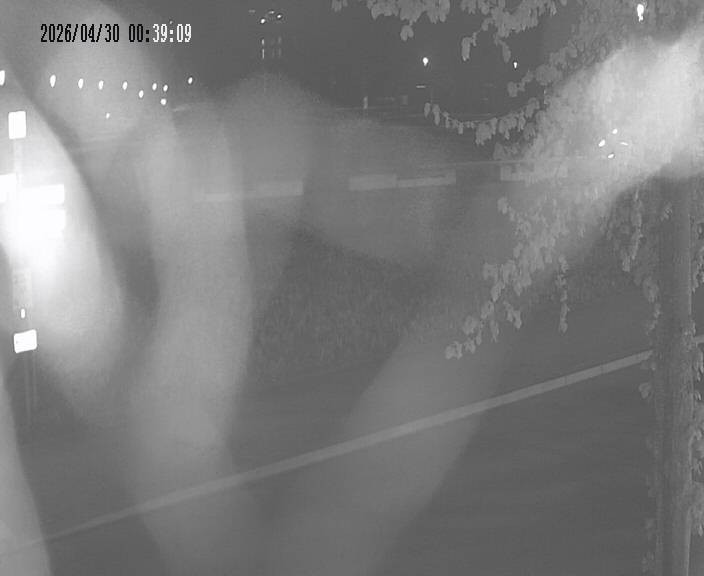 Archiv Foto Webcam Körbecke: Seetreppe Möhnesee