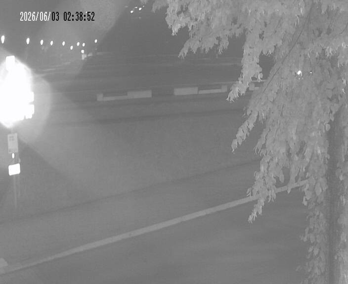 Archiv Foto Webcam Körbecke: Seetreppe Möhnesee