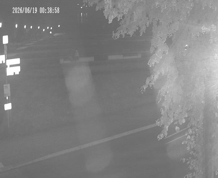 Archiv Foto Webcam Körbecke: Seetreppe Möhnesee