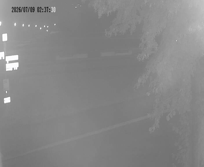 Archiv Foto Webcam Körbecke: Seetreppe Möhnesee