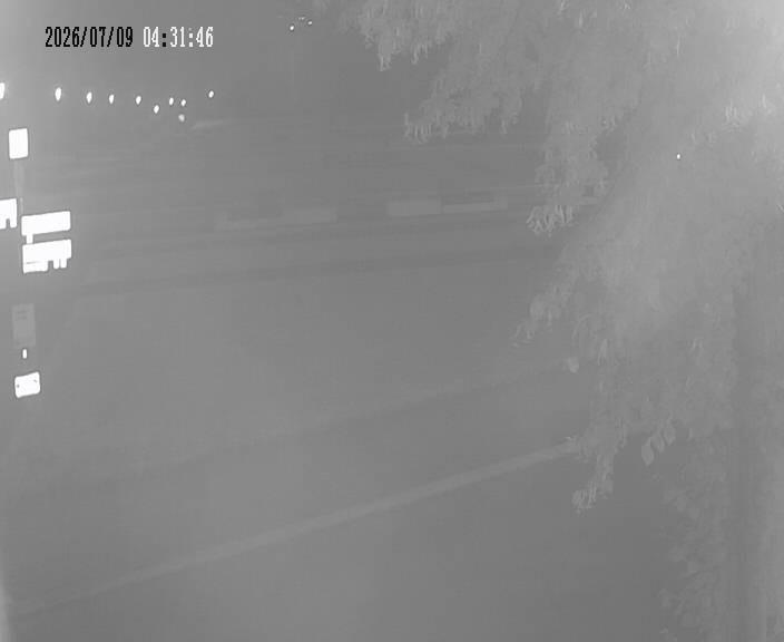 Archiv Foto Webcam Körbecke: Seetreppe Möhnesee