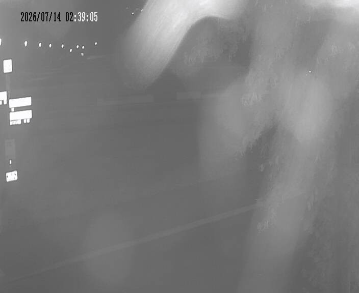 Archived image Webcam Koerbecke: View Lake Moehnesee