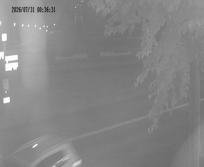 Archiv Foto Webcam Körbecke: Seetreppe Möhnesee