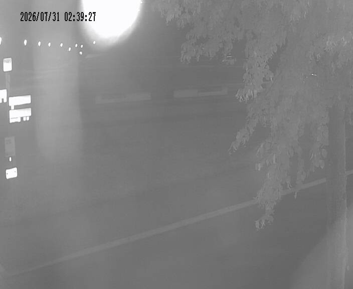 Archiv Foto Webcam Körbecke: Seetreppe Möhnesee
