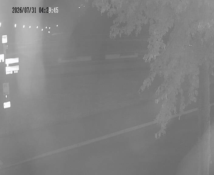 Archiv Foto Webcam Körbecke: Seetreppe Möhnesee