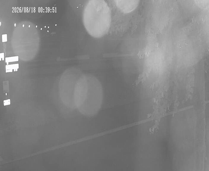 Archiv Foto Webcam Körbecke: Seetreppe Möhnesee
