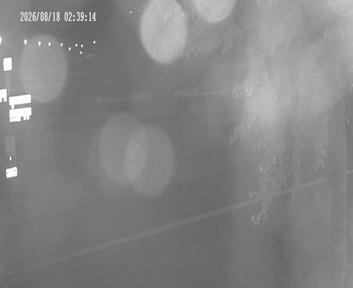 Archiv Foto Webcam Körbecke: Seetreppe Möhnesee