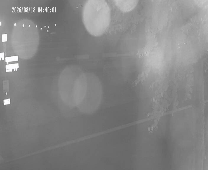 Archiv Foto Webcam Körbecke: Seetreppe Möhnesee