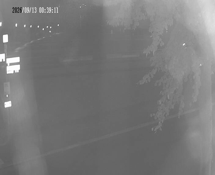 Archiv Foto Webcam Körbecke: Seetreppe Möhnesee