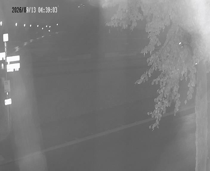 Archiv Foto Webcam Körbecke: Seetreppe Möhnesee
