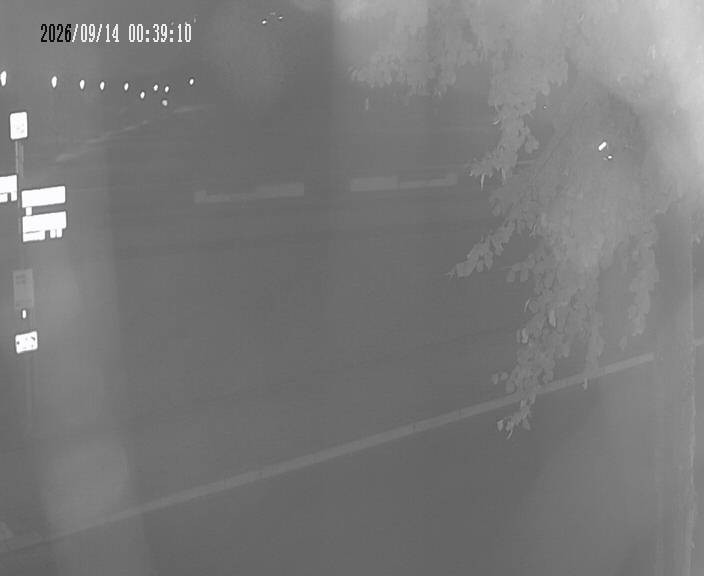 Archiv Foto Webcam Körbecke: Seetreppe Möhnesee