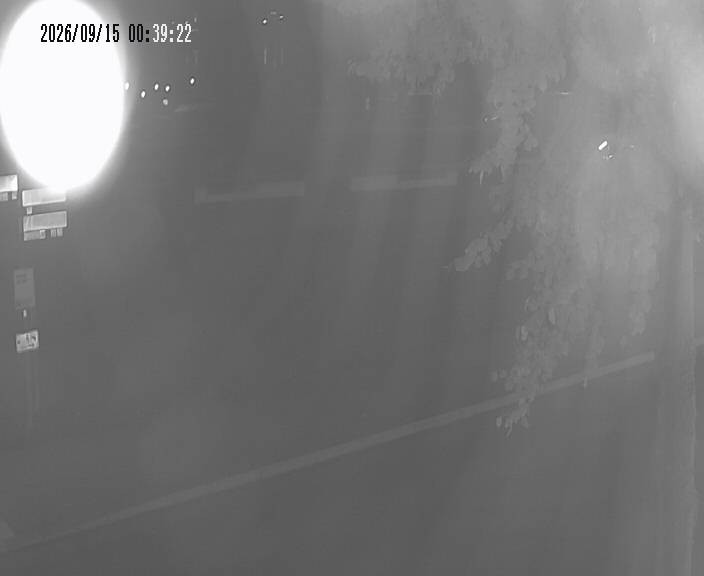 Archiv Foto Webcam Körbecke: Seetreppe Möhnesee