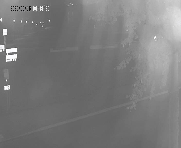Archiv Foto Webcam Körbecke: Seetreppe Möhnesee