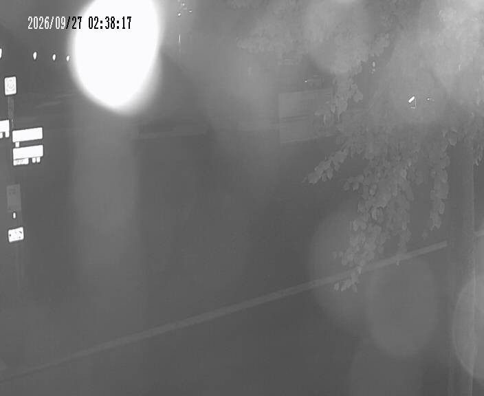 Archiv Foto Webcam Körbecke: Seetreppe Möhnesee