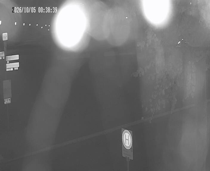 Archiv Foto Webcam Körbecke: Seetreppe Möhnesee
